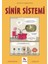 Sinir Sistemi - Gençler İçin Çizgilerle Bilim - Joseph Midthun 1