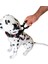 Köpek Boyun Tasması Battal Boy Büyük Irk Siyah Deri Boyun ölçüsü:30-60cm Ayarlamalı Dog Collor T1-31 3