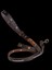 Köpek gezdirme tasması kahverengi deri kalın kancalı antik metal zımbalı kayış:125cm kalınlık: 4mm genişlik:2,5cm Dog Leash B1-9 5