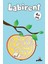 Labirent 4 Yaş 1