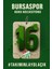 Bursaspor Lisanslı Araç Kokusu 3