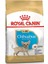 Chihuahua Junior Yavru Köpek Maması 1,5Kg 1