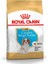 Cavalier King Charles Yavru Köpek Maması 1.5kg 6