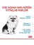 Mını Indoor Puppy Küçük Irklar Için Indoor Yavru Kuru Köpek Mamas 13