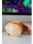 Ricky And Morty Kupa Bardak Hediyelik Kupa Bardak 1