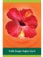 Aroma Sensations Feel The Energy Banyo ve Duş Jeli 500 ml x 2 Adet + Seyahat Seti Hediye 4