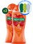 Aroma Sensations Feel The Energy Banyo ve Duş Jeli 500 ml x 2 Adet + Seyahat Seti Hediye 5