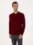 Erkek Koyu Bordo Slim Fit Yün Karışımlı Bisiklet Yaka Triko Kazak 50311869-VR175 3