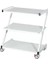 Cihaz Arabası | Z Tipi, Üç Katlı Metal Gövde, Antistatik Tekerlekli E-231/B 1