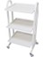 Cihaz Arabası | Antibakteriyel Boyalı, Üç Katlı Metal Gövde, Antistatik Tekerlekli E-230/B 1