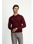 Polo Yaka Regular Fit Yünlü Triko Kazak 7