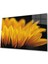 Ay Çiçeği Günebakan 4mm Dayanıklı Cam Tablo Temperli Cam , Sunflower Glass Wall Art 1