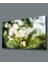 Çiçek Cam Tablo 4mm Dayanıklı Temperli Cam White Flower Glass Wall Art 1