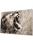 Aslan Cam Tablo 4mm Dayanıklı Temperli Cam 1