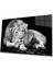 Aslan Cam Tablo 4mm Dayanıklı Temperli Cam 1