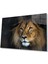 Aslan Cam Tablo 4mm Dayanıklı Temperli Cam 1