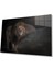 Aslan Cam Tablo 4mm Dayanıklı Temperli Cam 1