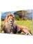 Aslan Cam Tablo 4mm Dayanıklı Temperli Cam 1