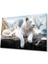 Aslan Cam Tablo 4mm Dayanıklı Temperli Cam 1