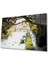 Ağaç Irmak Manzara Cam Tablo 4mm Dayanıklı Temperli Cam Tree River Landscape Glass Wall Art 1