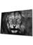 Aslan Cam Tablo 4mm Dayanıklı Temperli Cam 1