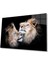 Aslan Cam Tablo 4mm Dayanıklı Temperli Cam 1