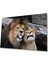 Aslan Cam Tablo 4mm Dayanıklı Temperli Cam 1