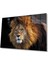 Aslan Cam Tablo 4mm Dayanıklı Temperli Cam 1