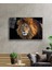 Aslan Cam Tablo 4mm Dayanıklı Temperli Cam 2