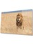 Aslan Cam Tablo 4mm Dayanıklı Temperli Cam 1