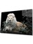 Aslan Cam Tablo 4mm Dayanıklı Temperli Cam 1