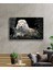 Aslan Cam Tablo 4mm Dayanıklı Temperli Cam 2