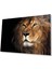 Aslan Cam Tablo 4mm Dayanıklı Temperli Cam 1