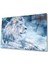 Aslan Cam Tablo 4mm Dayanıklı Temperli Cam 1