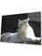 Aslan Cam Tablo 4mm Dayanıklı Temperli Cam 1