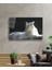 Aslan Cam Tablo 4mm Dayanıklı Temperli Cam 2