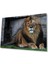 Aslan Cam Tablo 4mm Dayanıklı Temperli Cam 1