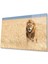 Aslan Cam Tablo 4mm Dayanıklı Temperli Cam 1