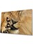 Aslan Cam Tablo 4mm Dayanıklı Temperli Cam 1