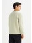 Regular Fit Normal Kesim Bisiklet Yaka Baskılı Mint Yeşili Sweatshirt 5