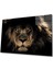 Aslan Cam Tablo 1