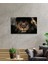 Aslan Cam Tablo 2