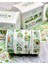 Cute Avocado 4'lü Washi Bant Set/washi Tape/masking Tape/desenli Bant 2