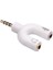 Powermaster 3.5 mm Stereo Erkek To Kulaklık + Hoparlör Dişi Çoklayıcı Jack PM-4318 2