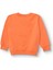 Erkek Bebek Basic Sweatshirt Şardonlu Bisiklet Yaka Uzun Kol 2