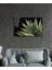 Siyah Arka Fon Aleovera Çiçek 4 mm Dayanıklı Cam Tablo Temperli Cam, Black Background Aloe Vera Flowe 2