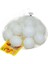 Nessiworld CN2076 Filede Yumurta- Halitcan Oyuncak 1