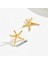 AEH70265-3 Altın Deniz Yıldızı Tasarımlı Kadın Küpeleri (Yurt Dışından) 2