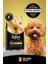 Poodle Yetişkin Köpek Maması 2 kg Tavuk Aromalı Hipoalerjenik Süper Premium 3