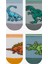 Erkek Çocuk Big Dino Çok Renkli 4lü Patik Çorap 10